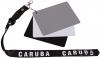 CARUBA Carta de Cinza Digital (DGC-2)