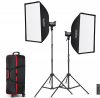 GODOX Kit 2 Tochas LED SL100D + Mala +Pés